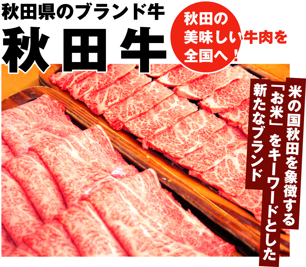 肉のわかば広面店